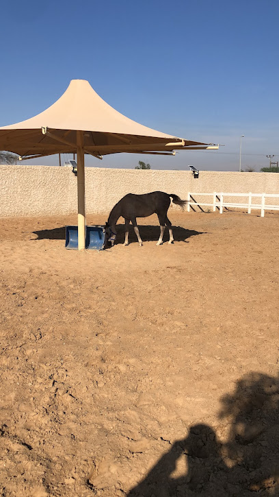 اسطبل خيول - United Arab Emirates|Sharjah|8W39+P7Q