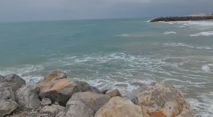 جمعية الإمارات للجواد العربي - الشارقة - +971 2 626 9222