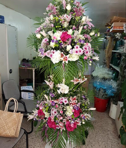 شركة قرطبة للزهور ذ - الشارقة - +971 6 566 7755