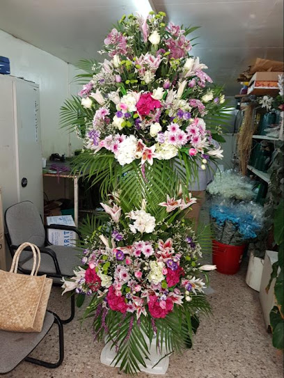 شركة قرطبة للزهور ذ - United Arab Emirates|Halwan Suburb - Al Yarmook - Sharjah