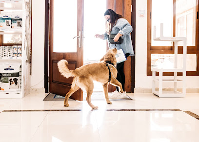 عيادة بيطرية ألمانية - أم القيوين - +971 2 556 2024