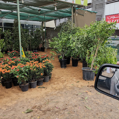 حضانة جميلة - الشارقة - +971 55 104 5549