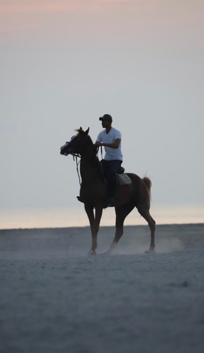 إسطبل السويدي - United Arab Emirates|Ras al Khaimah|Unnamed Road|PVGR+M8G