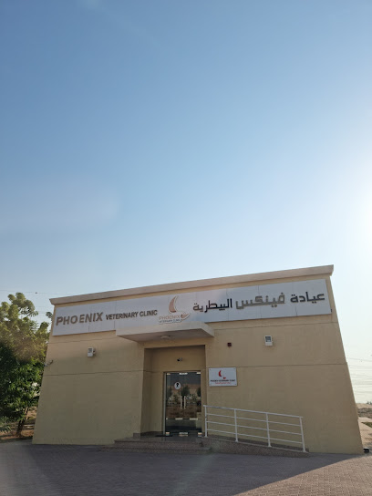 عيادة فينكس البيطرية - United Arab Emirates|Warsan 3 - Dubai|Pet and Bird Market
