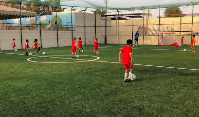 أكاديمية إيفولوشن سبورتس - الشارقة - +971 55 121 7341