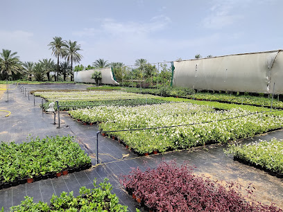 حضانة جوفر - دبا - الفجيرة - أم القيوين - +971 56 501 5231