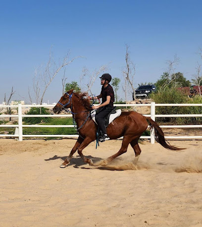 مركز R777 للفروسية - الشارقة - +971 50 466 6333