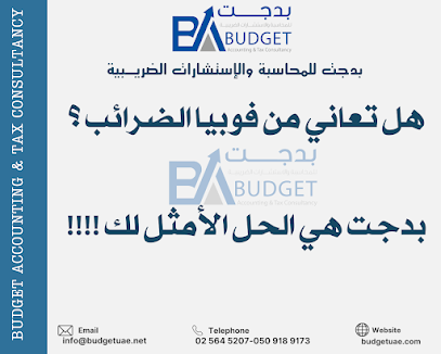 محاسبة الميزانية والاستشارات الضريبية - الشارقة - +971 50 918 9173