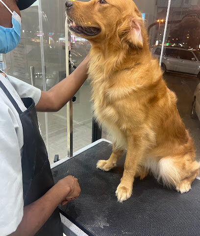 عيادة فلافي البيطرية للحيوانات الأليفة عيادة و صالون فلافي للحيوانات الأليفة - أم القيوين - +971 52 630 5568