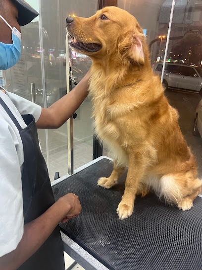 عيادة فلافي البيطرية للحيوانات الأليفة عيادة و صالون فلافي للحيوانات الأليفة - United Arab Emirates|Hamidiya - Al Hamidiya 2 - Ajman|Al Hamidya