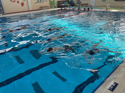 إيزي سويم UAE / GRITNCODE - الشارقة -