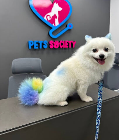 عيادة جمعية الحيوانات الأليفة البيطرية - أم القيوين - +971 52 107 2000