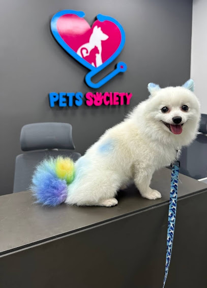 عيادة جمعية الحيوانات الأليفة البيطرية - United Arab Emirates|Jumeirah Village - Dubai|Tower