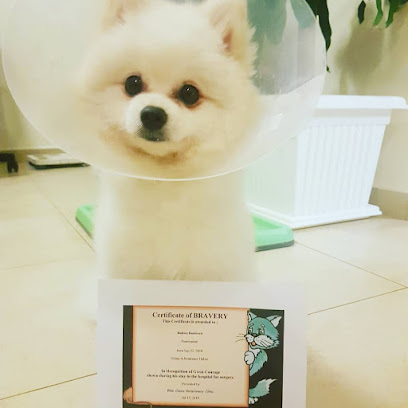 عيادة الواحة الزرقاء البيطرية - عيادة بيطرية في دبي - أم القيوين - +971 4 884 8580