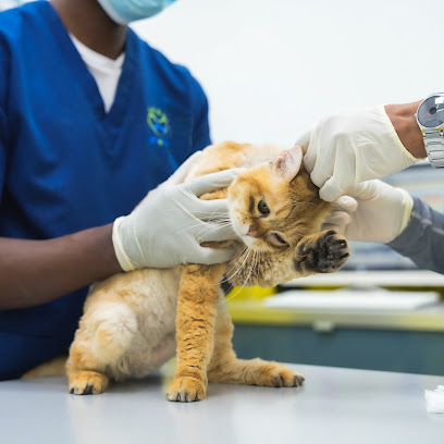 بيطري بلس - أم القيوين - +971 4 220 4553