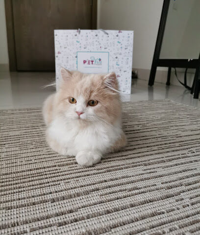 عيادة بيت فيرست البيطرية - أم القيوين - +971 4 388 0182