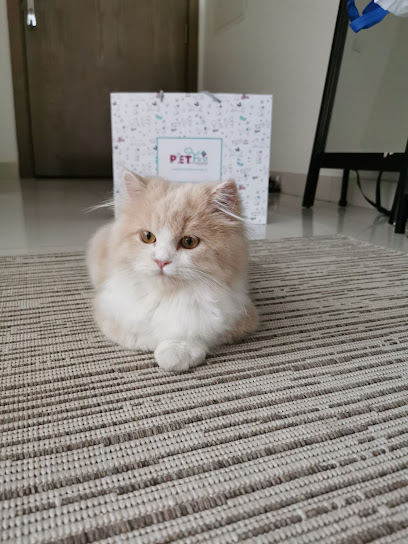 عيادة بيت فيرست البيطرية - United Arab Emirates|near Al Kabayl Discount Centre - Al Barsha - Al Barsha 3 - Dubai|62nd Hessa St|Villa 130