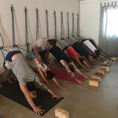 منزل نيلايا - إمارة الشارقةّ - +971 50 230 1363