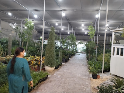 حضانة جرين اكسبرت - أم القيوين -