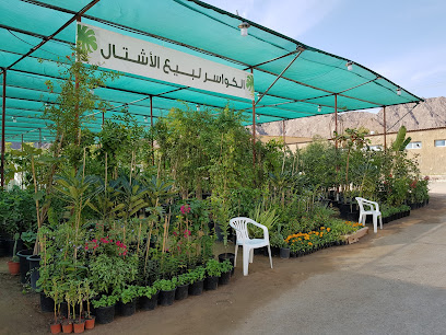 مشاتل القواصر - أم القيوين - +971 52 475 2990