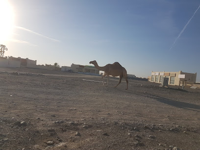 نجمة المليحة L. LC - الشارقة -