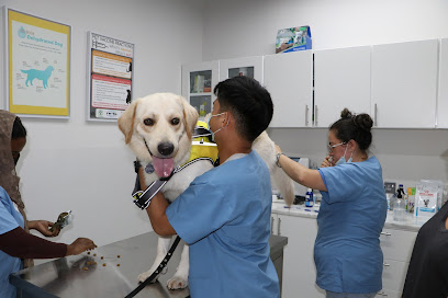 عيادة ميرسي البيطرية عيادة ميرسي البيطرية - أم القيوين - +971 4 332 6600