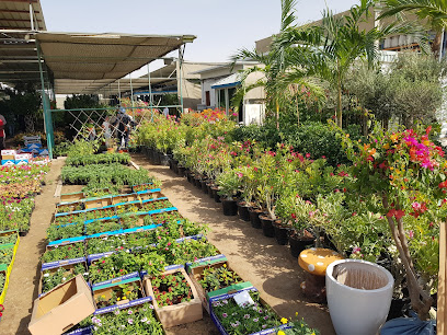 حضانة ند الشبا - أم القيوين - +971 55 620 0102