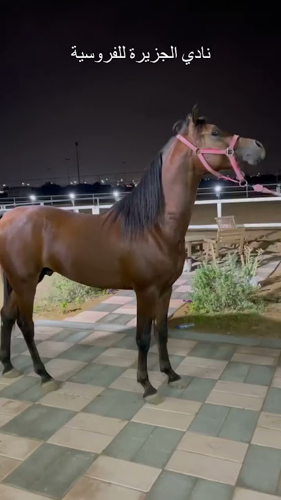 نادي الجزيرة للفروسية - United Arab Emirates|Ras al Khaimah|5 21C St