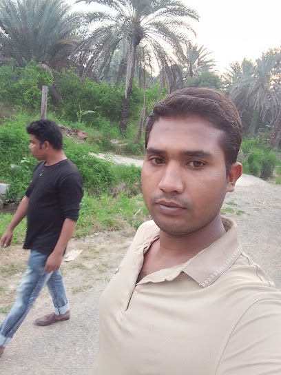 شكيل - United Arab Emirates|Al Murabaa - Abu Dhabi|Zayed Bin Sultan St|6QCC+PWH