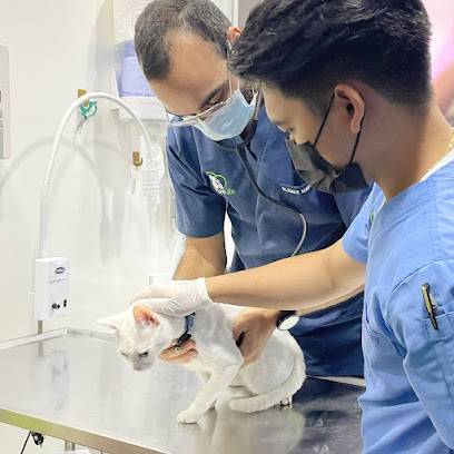 بيور لايف للعلاج البيطري - أم القيوين - +971 2 444 3002