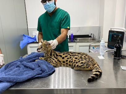 عيادة رويال بيتس البيطرية - أم القيوين - +971 4 557 9089