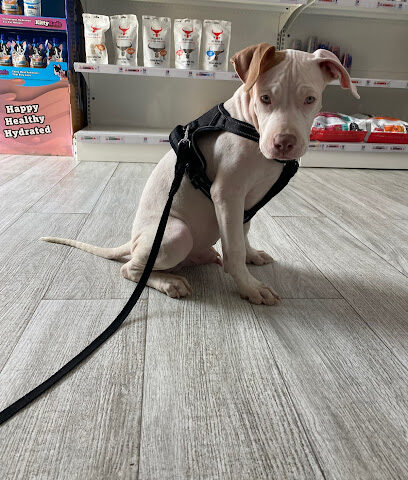 عيادة Vet Hub - أم القيوين - +971 4 268 1936