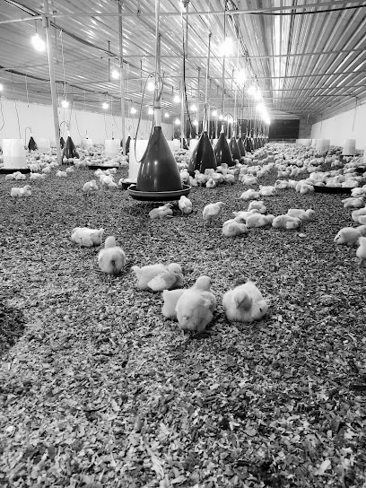 الخدمات البيطرية الزراعية - United Arab Emirates|Al Noud - Abu Dhabi