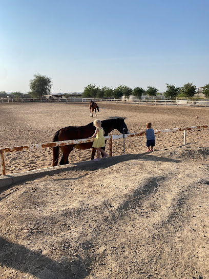 اسطبل مروان - United Arab Emirates|Al Haramal - Ras al Khaimah|HWH7+G3
