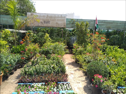 حضانة رويال جاردن للنباتات - أم القيوين - +971 52 910 6535