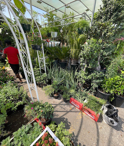 واحة الزهور لتنسيق الحدائق والزهور - الشارقة - +971 50 582 1367