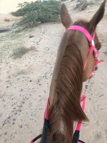 مم الاسطبلات -