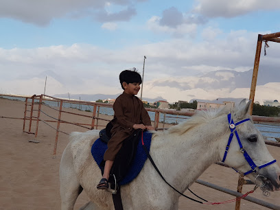 اسطبل خيول الرمس - الشارقة - +971 55 880 1036