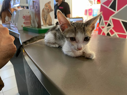 عيادة يوروبتس - أم القيوين - +971 50 860 6857