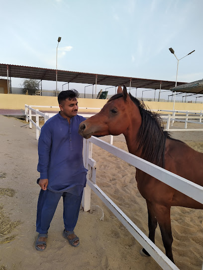 مربط ياس - United Arab Emirates|Al Wathbah - Abu Dhabi|5QJ4+R2C