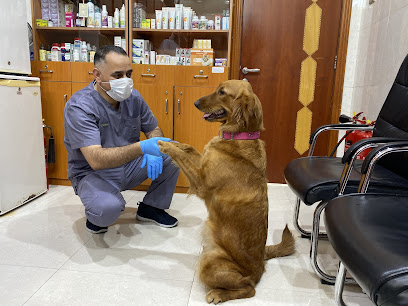 عيادة الجوارح البيطرية - أم القيوين - +971 50 737 4152