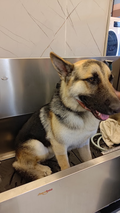 عيادة العاصفة البيطرية - United Arab Emirates|Industrial Area - Muwailih Commercial - Sharjah