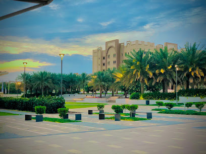 دعونا مجداف - الشارقة - +971 58 506 8234