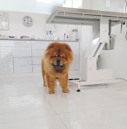 عيادة تاج البيطرية تاج عيادة بيطرية - أم القيوين - +971 50 150 0405