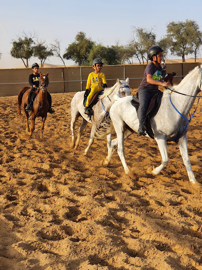 القائد مستقر اسطبل القيادة - United Arab Emirates|Al Sad - Abu Dhabi|7CX7+RC6