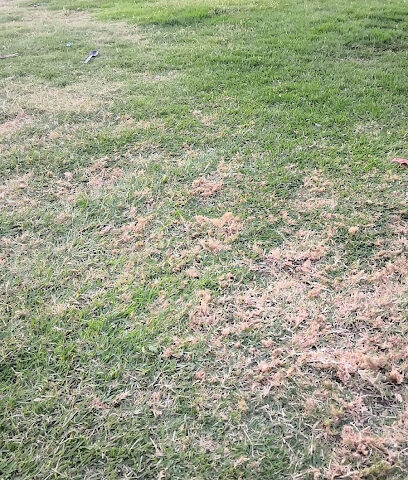 عيادة بيطرية - أم القيوين - +971 2 585 6192