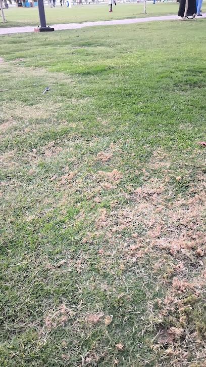 عيادة بيطرية - United Arab Emirates|Dhaharat Al Teeb - Abu Dhabi|6V67+FXC