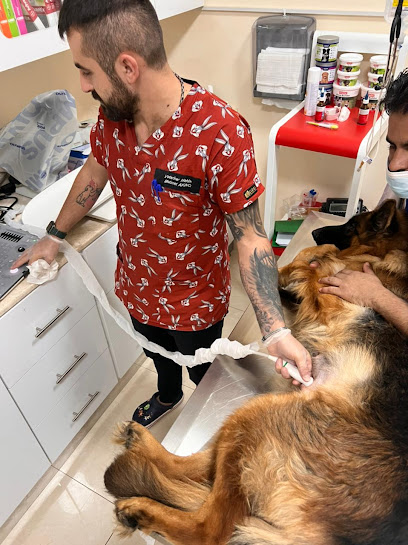 عيادة رعاية الحيوانات الأليفة البيطرية - United Arab Emirates|Ras al Khaimah|47 طريق الغافات