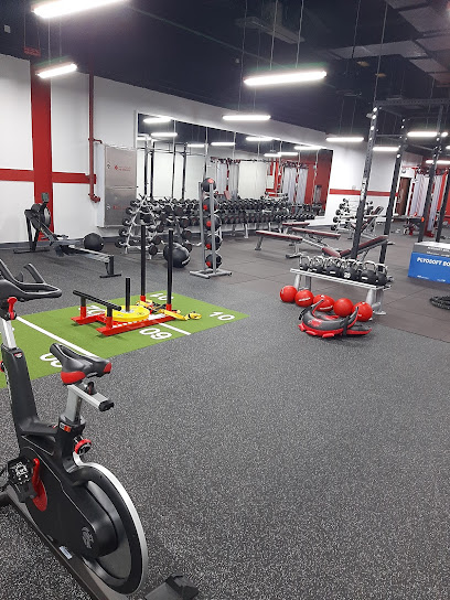 سرعة اللياقة - United Arab Emirates|Fujairah|1st Floor