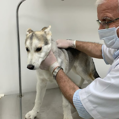 عيادة الحياة البيطرية - عيادة الحياة البيطرية - أم القيوين - +971 58 593 1952